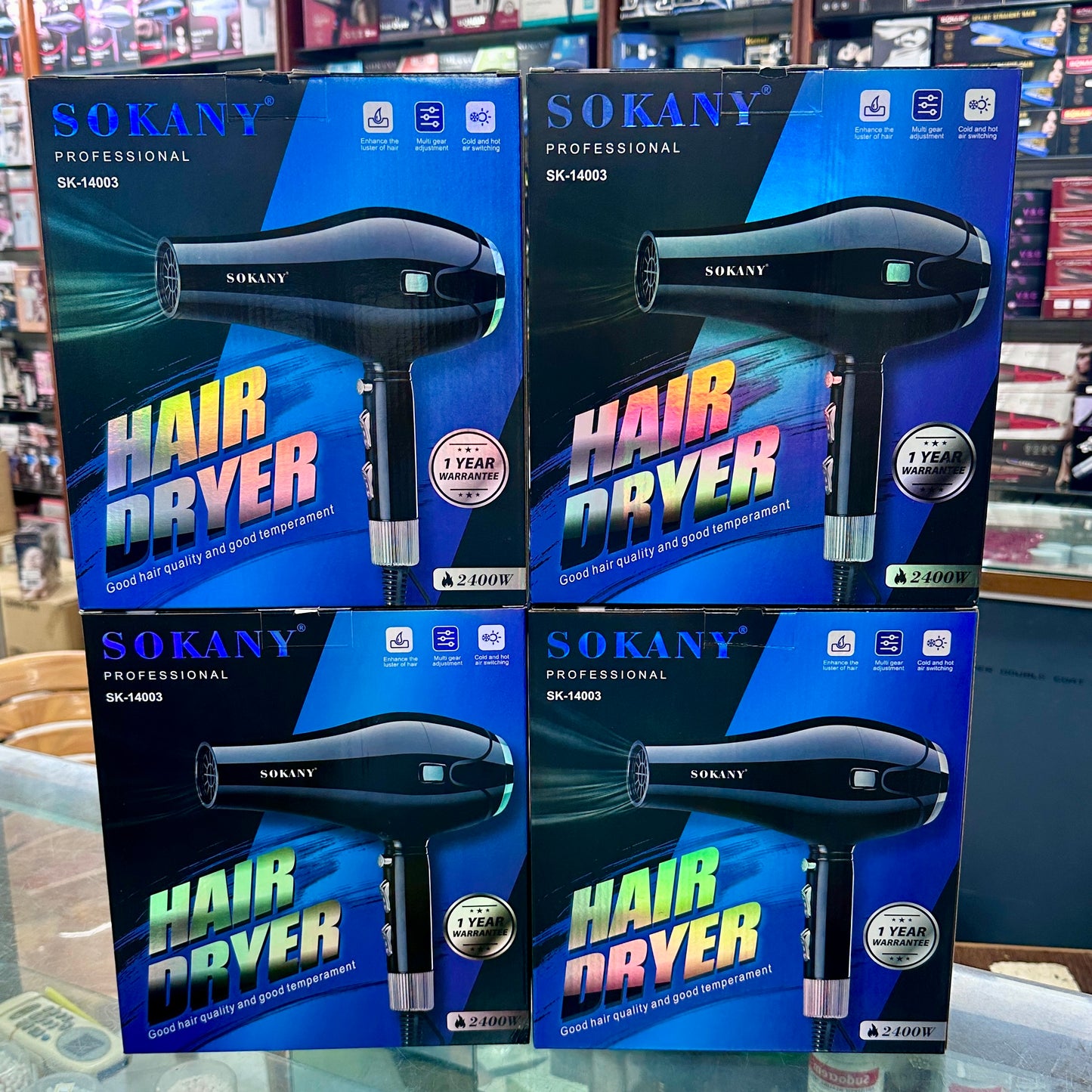 Professional Hair Blower SK14003