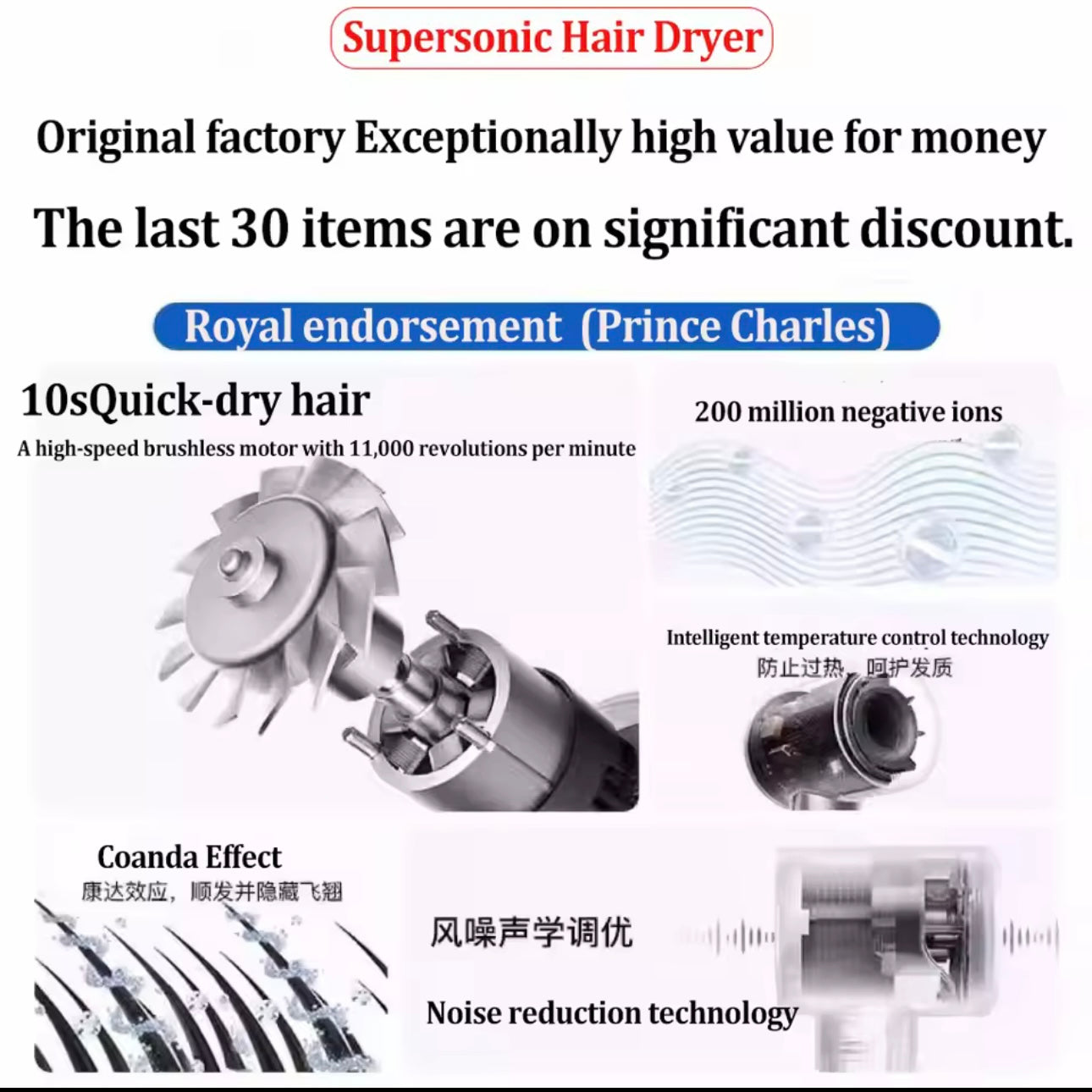 Sleek Professional Branded Hair Dryer