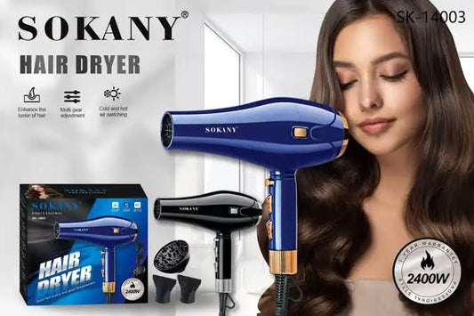 Professional Hair Blower SK14003